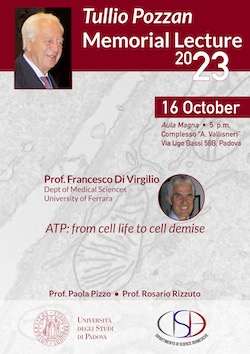 Tullio Pozzan 2023 Memorial Lecture flyer