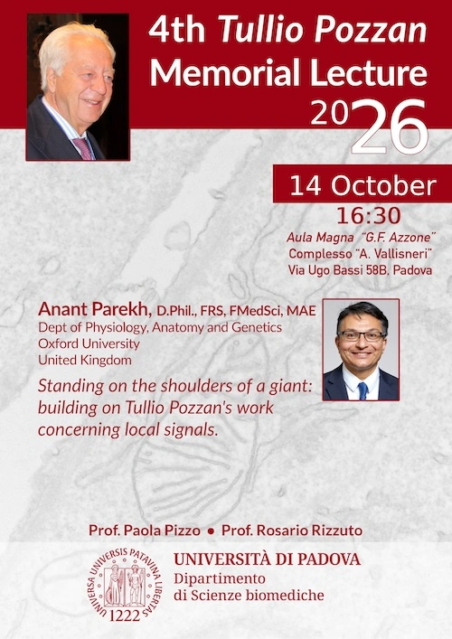 Tullio Pozzan Memorial Lecture 2026 flyer